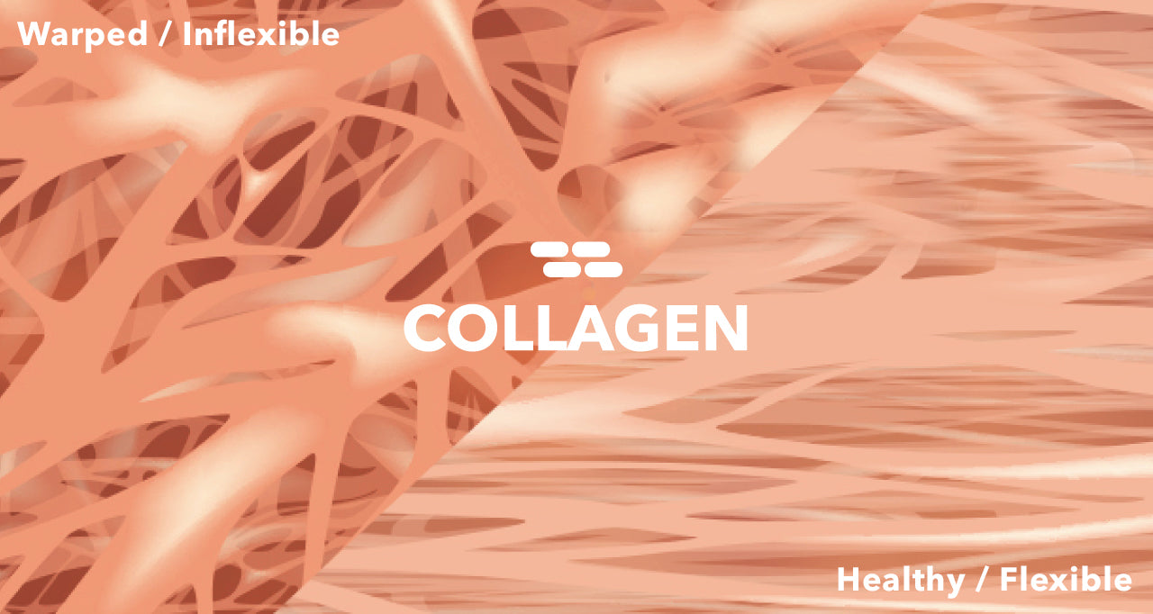 Collagen